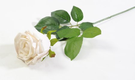 Роза с латексным покрытием  крупная "Ла Перла"