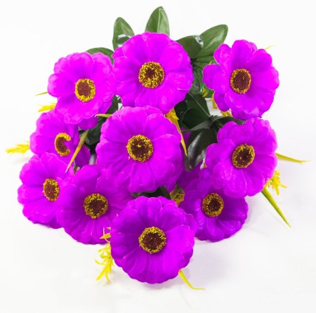 Тунбергия 12 цветков