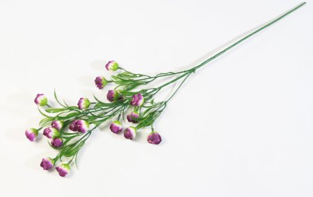 Ветка Пицея высокая византия