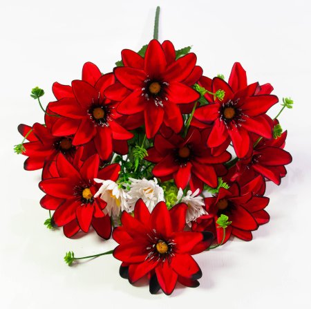 Бархатный георгин с ромашкой