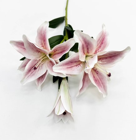 Ветка лилий "Сибирь" нежно-розовая