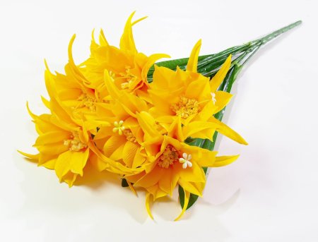 c874d703f315e84176ba7408d0ef7412