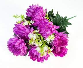 Хризантема Кокарде 13 цветков