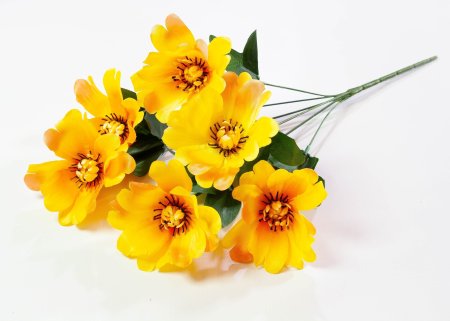 b53a4ce47a679df1b1413236534e1bee