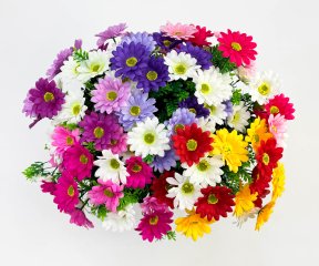 Ромашка "Лужайка" 18 цветков 