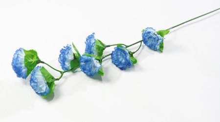 Ветка гвоздики 7 цветков