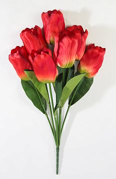 Тюльпаны крупные 7 цветков от магазина KALINA являющийся официальным дистрибьютором в России 