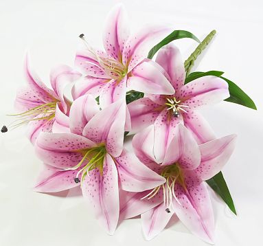 Букет лилий латекс 5 цветков от магазина KALINA являющийся официальным дистрибьютором в России 