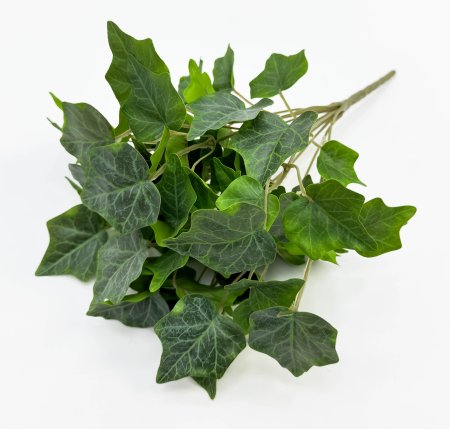 картинка Плющ садовый букет от магазина KALINA