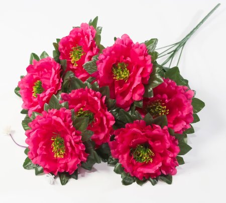 Букет пионов "Принцесса" 7 цветков