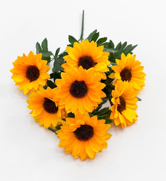 Подсолнух "Цвель"7 цветков