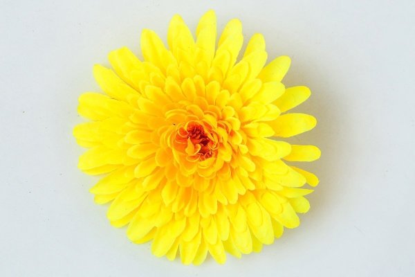 Насадка георгина