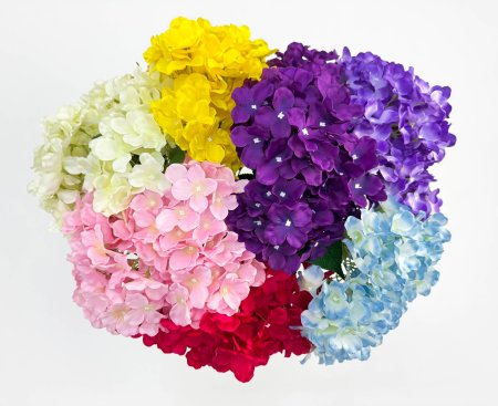 Гортензия "Солнечный блик" 5 цветков