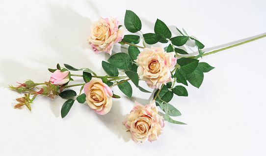 Ветка розы "Сфинкс" чайная роза от магазина KALINA являющийся официальным дистрибьютором в России 