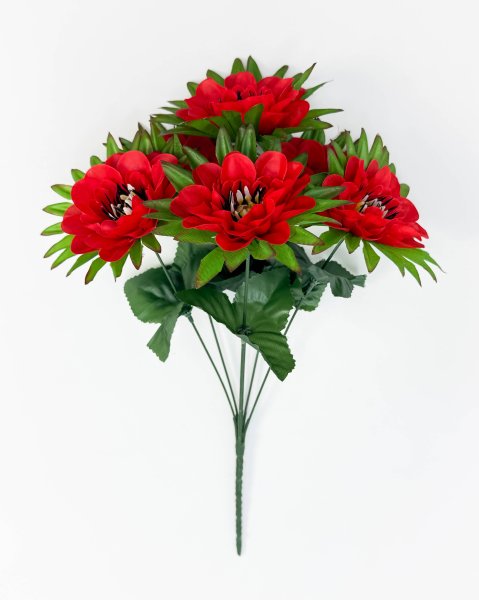 Георгин "Нектар" 6 цветков