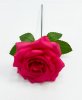 Роза штучка "Палома" малиновая