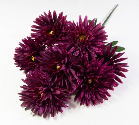 Хризантема "Танго" 7 цветков