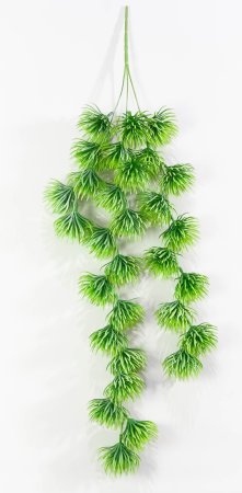 картинка Декоративная ампельная зелень от магазина KALINA
