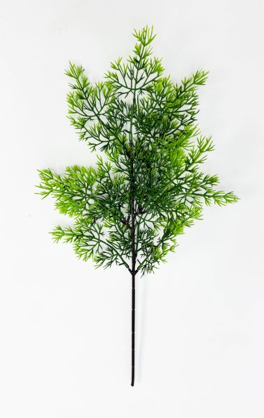 картинка Туя "Летняя пора" от магазина KALINA