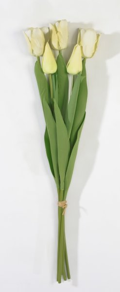 Тюльпан с латексным покрытием белый (12 букетов по 5 шт)