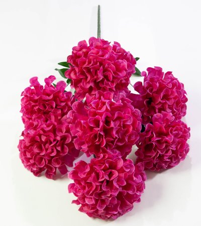 Шафран махровый 7 веток