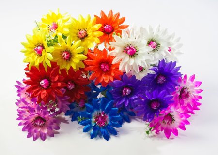 Астра "Дарина" 5 цветков