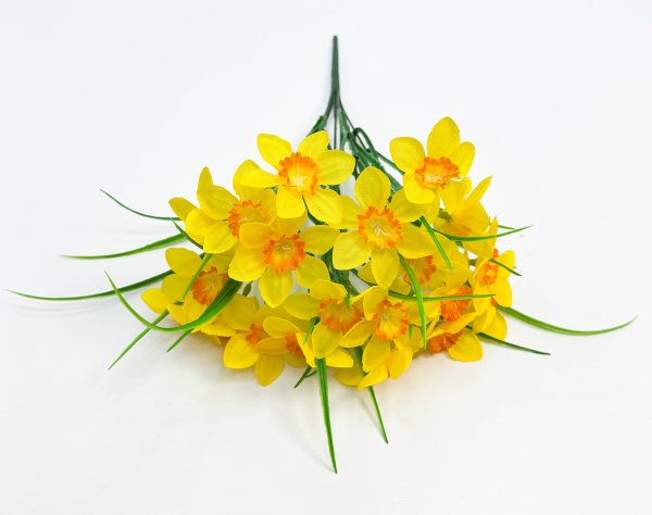 Нарцисс "Клумба" 20 цветков