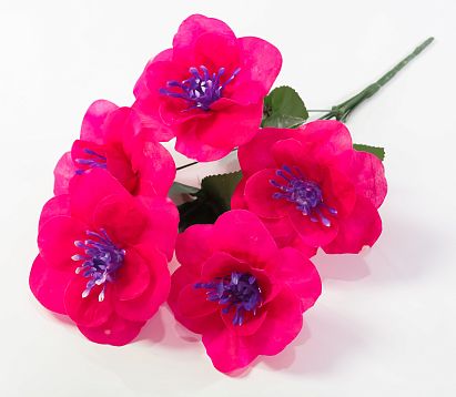 Нарцисс "Джувел" 5 цветков от магазина KALINA являющийся официальным дистрибьютором в России 