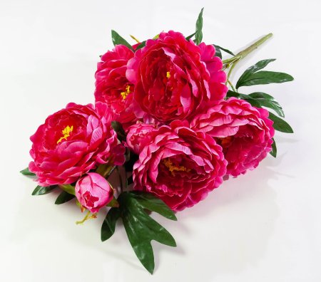 da19fe1a2a5b45afa126d3afa1675ca8