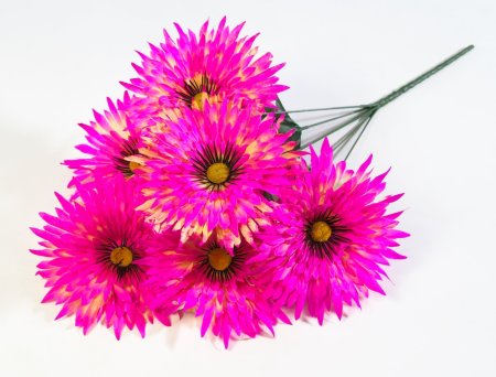 Астра Фокус малая 6 цветков