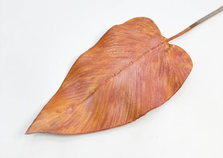 картинка Лист "Канна Гранд" персик от магазина KALINA