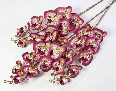 Ветка орхидеи 29 от магазина KALINA являющийся официальным дистрибьютором в России 