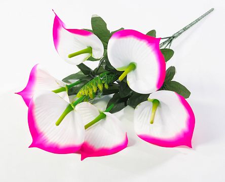 Букет калл "Крижинка" 6 цветков от магазина KALINA являющийся официальным дистрибьютором в России 