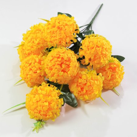 Шафран «Пурпур» 9 цветков