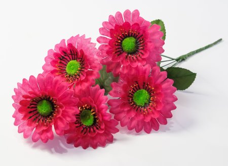 Букет ромашек "Паприка" 5 цветков