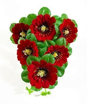 Букет "Капитан" 6 цветков от магазина KALINA являющийся официальным дистрибьютором в России 