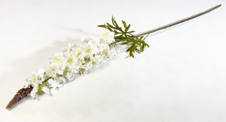 Дельфиниум Осень