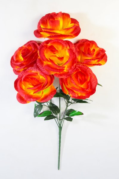 Букет роз "Великан" 6 цветков