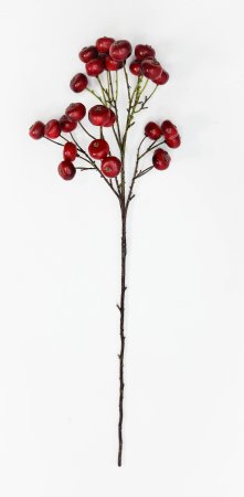 Яблоня "Дичка" красная