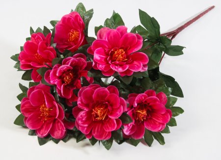 Букет георгина Ласка 7 цветков