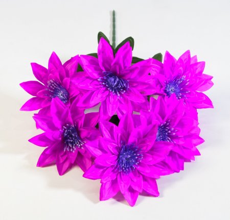 Букет астр Махровая смесь 6 цветков