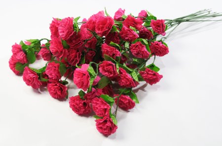 Ветка гвоздики 7 цветков