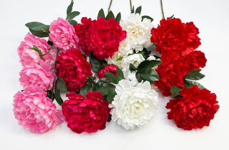 Пион "Афродита" 4 цветка 1 бутон