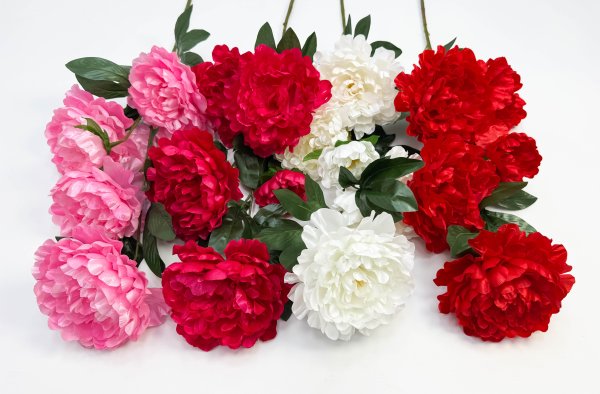 Пион "Афродита" 4 цветка 1 бутон