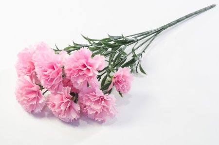 Букет гвоздик "Вечная память"