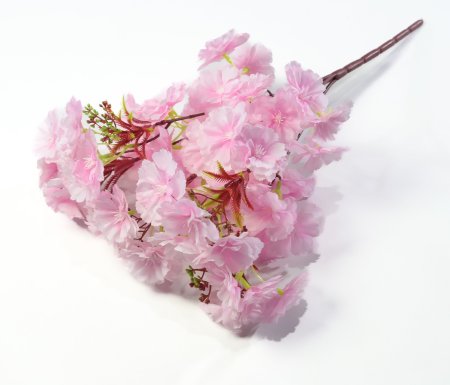 Букет яблони "Майя" 5 веток