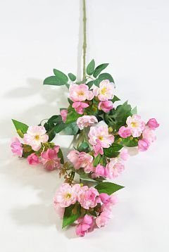 Ветка яблони "Гала" розовая от магазина KALINA являющийся официальным дистрибьютором в России 