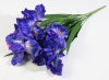 Букет ирисов садовых 7 цветков