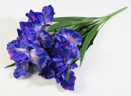 Букет ирисов садовых 7 цветков