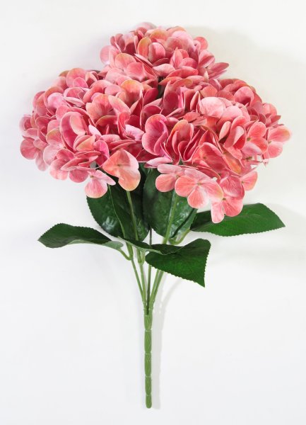 Букет гортензий 5 веток "Дикий арбуз"